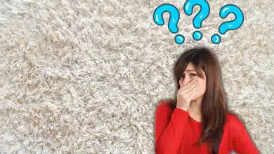 از بین بردن بوی فرش پشمی