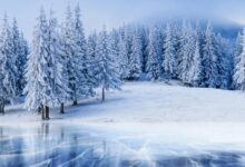 تعبیر خواب زمستان🌧️❄️ (کامل و رایگان | از نظر معبران و موضوعات مختلف)