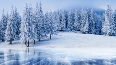 تعبیر خواب زمستان🌧️❄️ (کامل و رایگان | از نظر معبران و موضوعات مختلف)