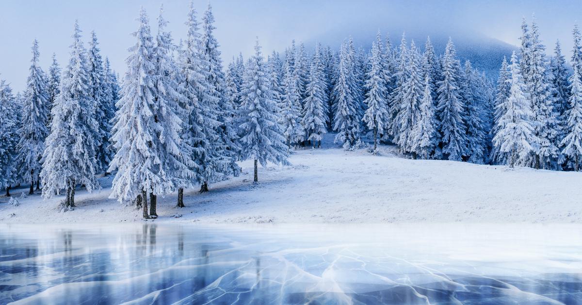 تعبیر خواب زمستان🌧️❄️ (کامل و رایگان | از نظر معبران و موضوعات مختلف)