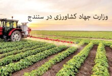 آدرس و تلفن وزارت جهاد کشاورزی در سنندج