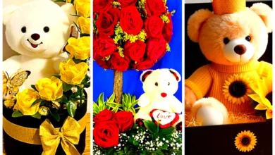 ایده کادو تولد با خرس عروسکی (جدیدترین مدل های ترند امسال ۱۴۰۴ - ۲۰۲۵)