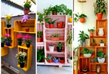 ایده کاربردی صندوق چوبی (جدیدترین مدل های ترند امسال ۱۴۰۴ - ۲۰۲۵)