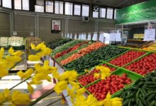 بازار و میدان میوه و تره بار در قم + آدرس و تلفن