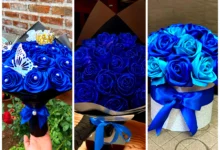 دسته گل رز آبی (جدیدترین مدل های ترند امسال ۱۴۰۴ - ۲۰۲۵)