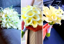 دسته گل شیپوری عروس (جدیدترین مدل های ترند امسال ۱۴۰۴ - ۲۰۲۵)