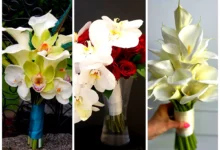دسته گل عروس جدید (جدیدترین مدل های ترند امسال ۱۴۰۴ - ۲۰۲۵)