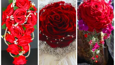 دسته گل قرمز عروس (جدیدترین مدل های ترند امسال ۱۴۰۴ - ۲۰۲۵)