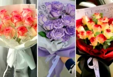 دسته گل هدیه زیبا (جدیدترین مدل های ترند امسال ۱۴۰۴ - ۲۰۲۵)