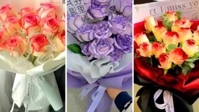 دسته گل هدیه زیبا (جدیدترین مدل های ترند امسال ۱۴۰۴ - ۲۰۲۵)