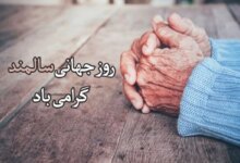 روز جهانی سالمندان چه روزی است ؟