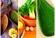 ظرف میوه فانتزی حصیری (جدیدترین مدل های ترند امسال ۱۴۰۴ - ۲۰۲۵)