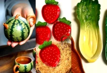 ظروف سرو طرح میوه (جدیدترین مدل های ترند امسال ۱۴۰۴ - ۲۰۲۵)