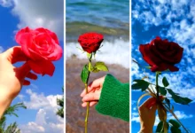 عکس پروفایل دخترونه گل (جدیدترین مدل های ترند امسال ۱۴۰۴ - ۲۰۲۵)