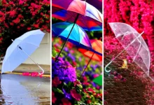 عکس پروفایل چتر و بارون (جدیدترین مدل های ترند امسال ۱۴۰۴ - ۲۰۲۵)