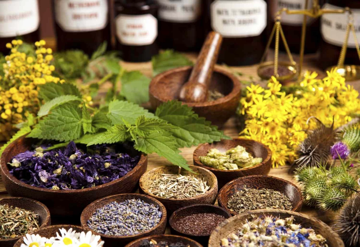 لیست بهترین متخصص هومیوپاتی در کرج + آدرس و تلفن لیست بهترین متخصص هومیوپاتی در کرج + آدرس و تلفن