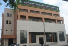 لیست شعبه های بانک کشاورزی در کرمان + آدرس و تلفن