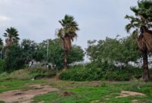 لیست وزارت جهاد کشاورزی در اهواز + آدرس و تلفن