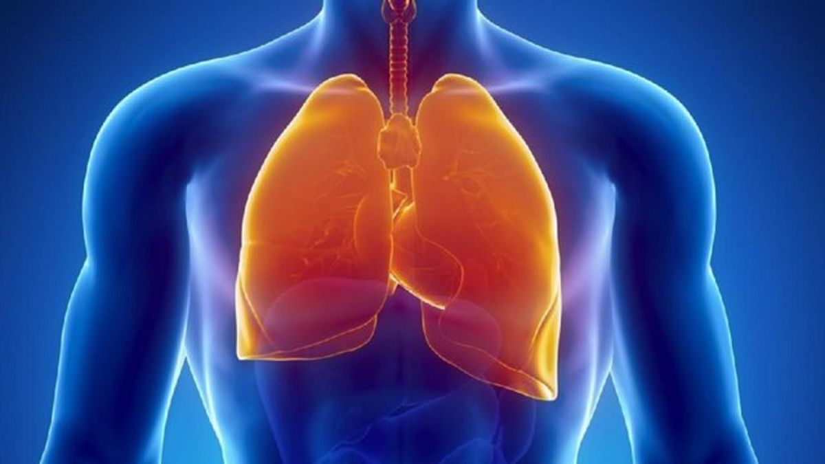 پزشکان فوق تخصص ریه در ایلام به همراه آدرس و تلفن پزشکان فوق تخصص ریه در ایلام به همراه آدرس و تلفن