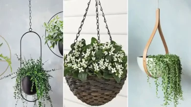 گلدان آویز مینیمال و جدید (جدیدترین مدل های ترند امسال ۱۴۰۴ - ۲۰۲۵)
