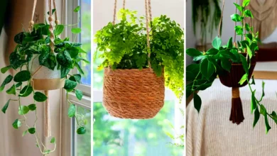 گلدان حصیری آویز مدرن (جدیدترین مدل های ترند امسال ۱۴۰۴ - ۲۰۲۵)