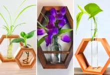 گلدان شش گوش چوبی با لوله شیشه ای (جدیدترین مدل های ترند امسال ۱۴۰۴ - ۲۰۲۵)