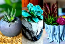 گلدون طبیعی دکوری (جدیدترین مدل های ترند امسال ۱۴۰۴ - ۲۰۲۵)