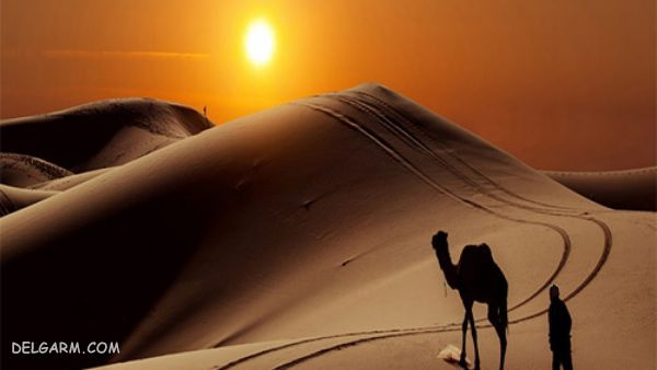 کویر مصر