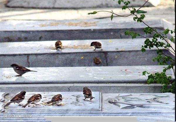 زیارت اهل قبور از رسم‌های نوروزی در تبریز