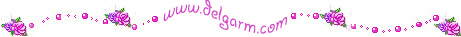 http://www.delgarm.com/