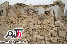 آیا میدانید برخی حیوانات توانایی پیش بینی وقوع پدیده های طبیعی را دارند؟