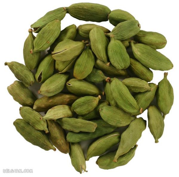 عرق هل 