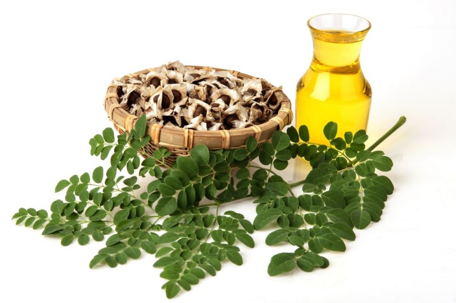 ۱۰ خواص شگفت انگیز دانه گز روغنی برای سلامت بدن (2 نکته مهم)