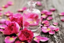 آیا گلاب خراب می شود؟