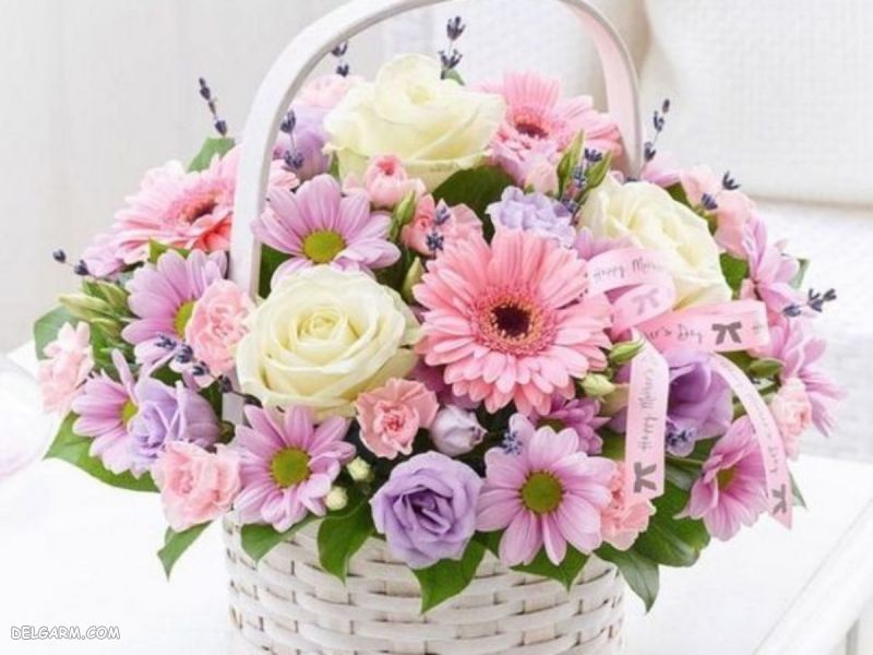 هدیه مخصوص روز زن
