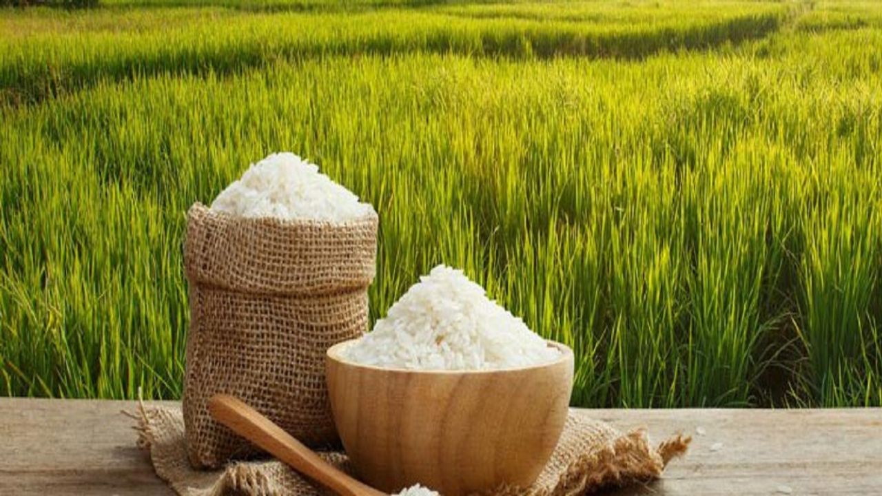 بزرگترین تولید کنندگان برنج در جهان به ترتیب کدامند ؟