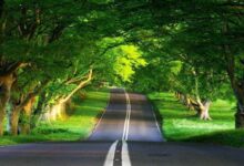 در مورد کلاس های ان ای (NA) چه می دانید؟