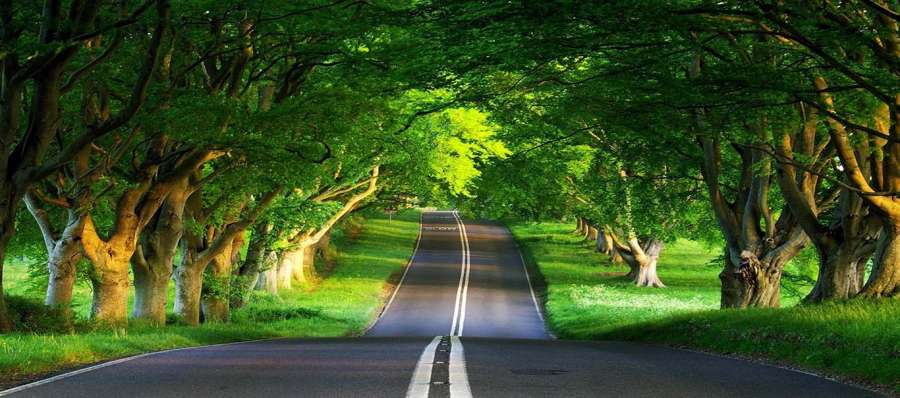 در مورد کلاس های ان ای (NA) چه می دانید؟