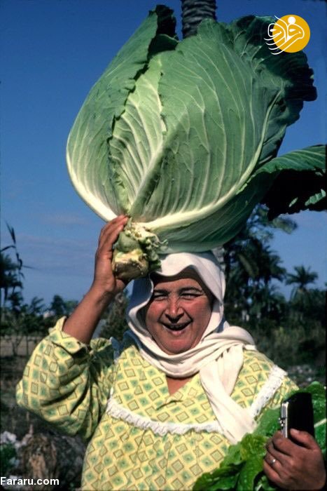 روستای زنان؛ ورود آقایان به این روستا ممنوع است! روستای زنان؛ ورود آقایان به این روستا ممنوع است!