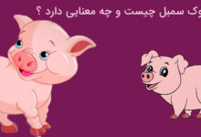 سال خوک سمبل چیست و چه معنایی دارد ؟