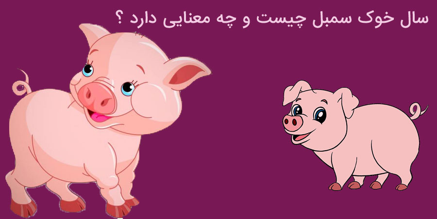 سال خوک سمبل چیست و چه معنایی دارد ؟ سال خوک سمبل چیست و چه معنایی دارد ؟