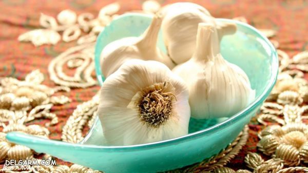 معنی هر سین در سفره هفت سین چیست ؟ سیر در سفره هفت سین به چه معناست ؟
