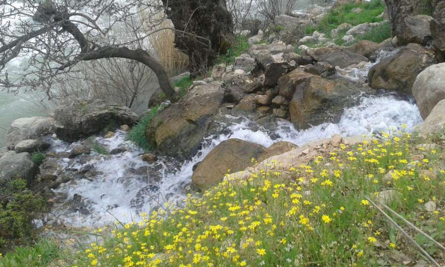 بهترین راههای پیدا کردن آب در طبیعت
