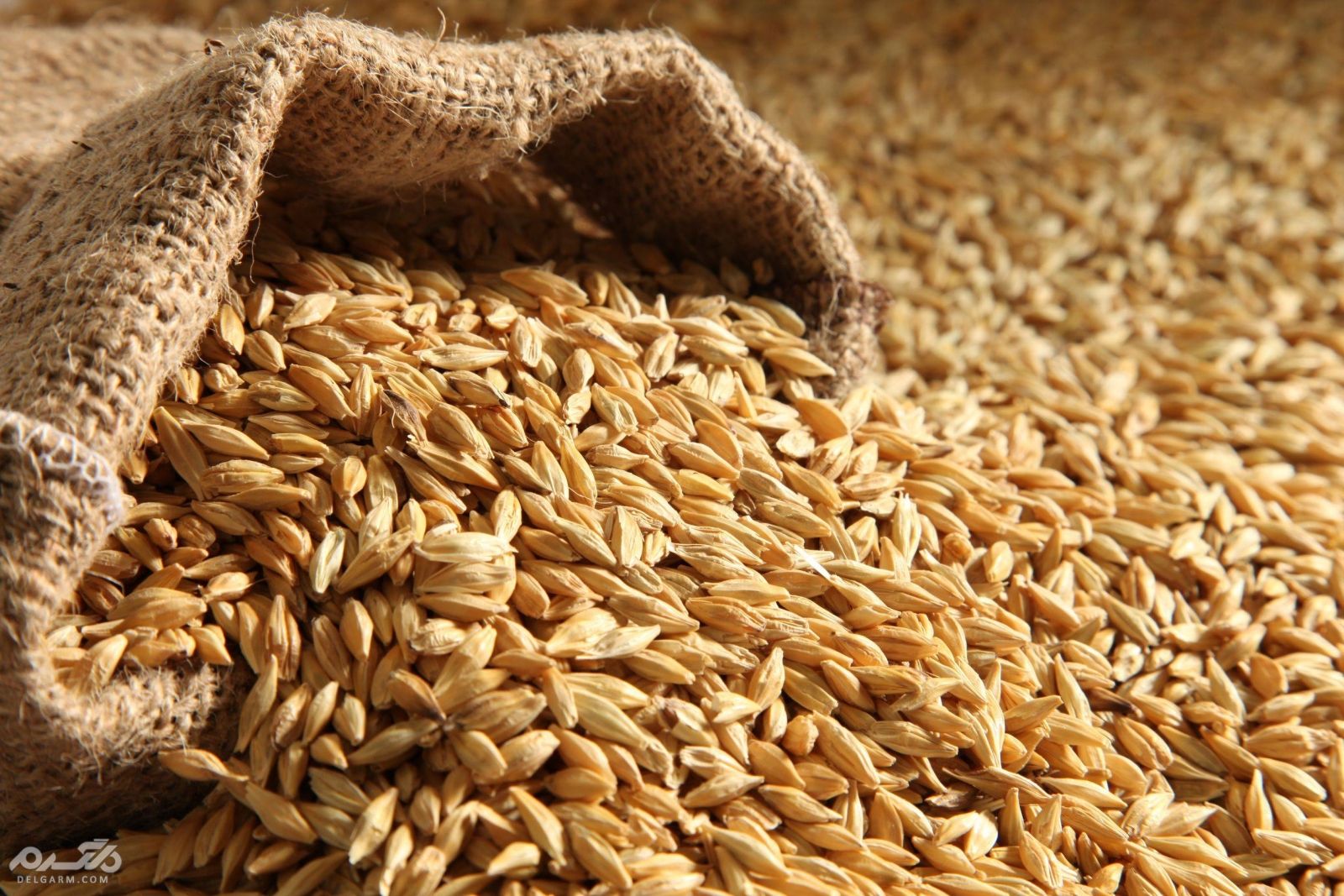 علت بی خوابی چیست ؟ چیکار کنیم زود بخوابیم ؟ چه بخوریم چه نخوریم که شبها زود بخوابیم