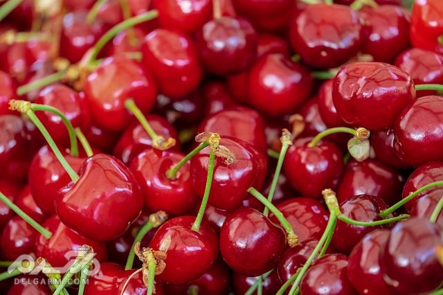علت بی خوابی چیست ؟ چیکار کنیم زود بخوابیم ؟ چه بخوریم چه نخوریم که شبها زود بخوابیم