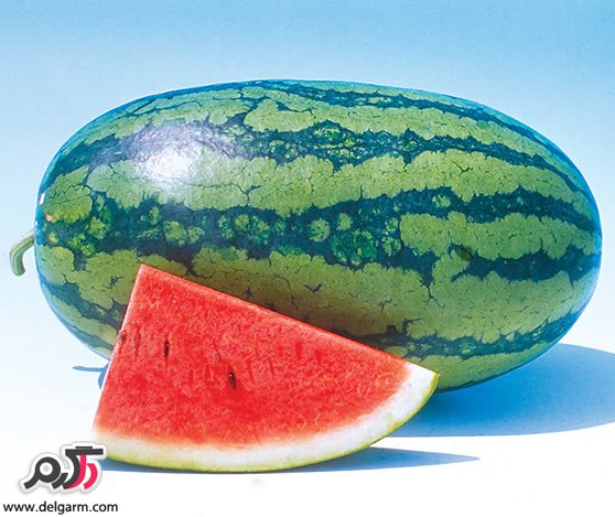 هندوانه