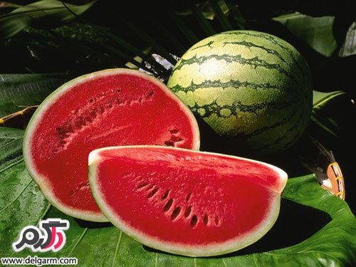 هندوانه