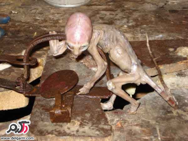 جن
