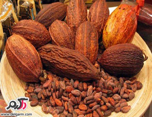 فرق میان شکلات و کاکائو