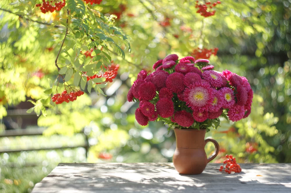 کاشت گل‌های پاییزی